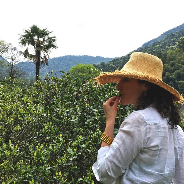 Top pour the rise of premium tea pairings